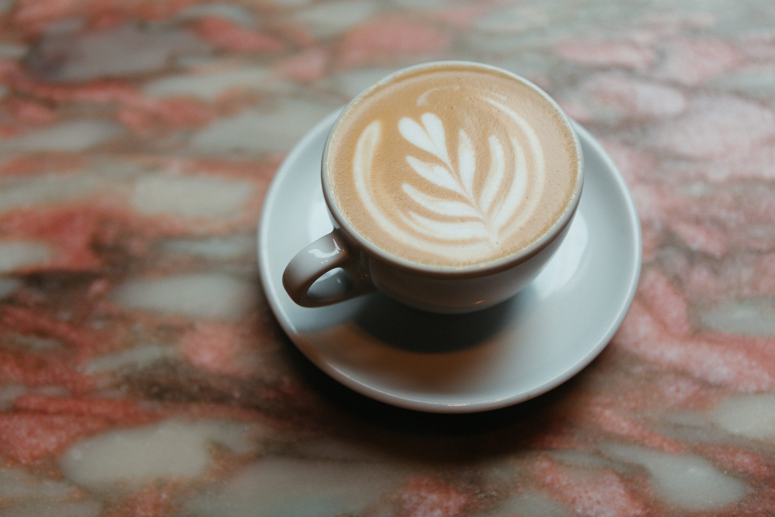 Sip & Stroll: The 10 Best Independent Coffee Shops in Chicago:
