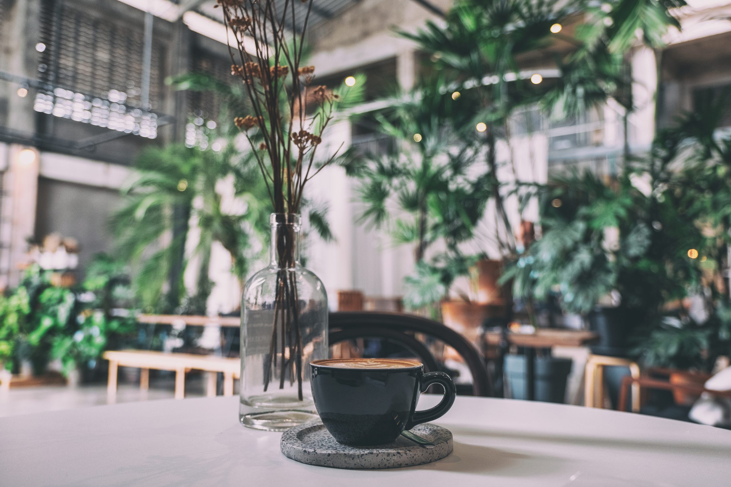 Café Vibes: The Perfect Coffee Shops for Your Monthly Coffee Fix:
