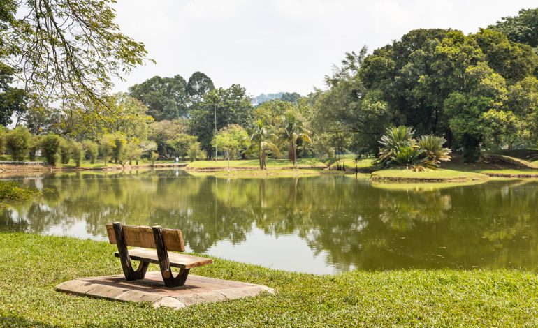 Hidden Corners: Exploring Lesser-Known Parks and Green Spaces in Your City: