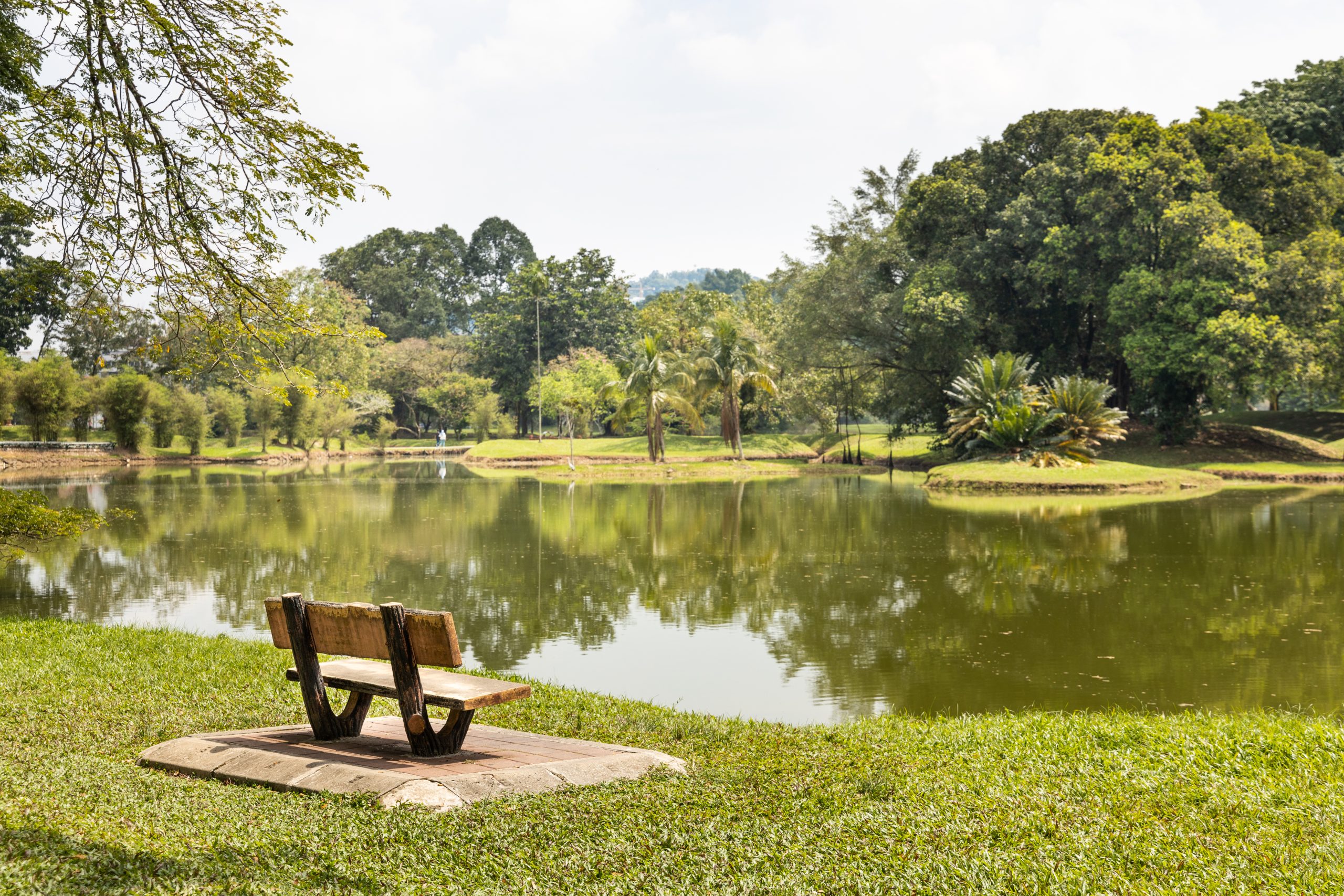 Hidden Corners: Exploring Lesser-Known Parks and Green Spaces in Your City: