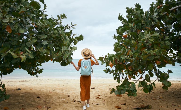 Eco-Friendly Travel: Sustainable Destinations for Conscious Travelers: